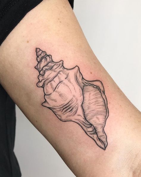 Crispy Francis on Instagram: “A conch shell! This was fun and different.” Ocean Sleeve Tattoos, Shell Tattoo, Seashell Tattoos, Shell Tattoos, Petit Tattoo, Sea Tattoo, Ocean Tattoos, Beach Tattoo, Top Tattoos