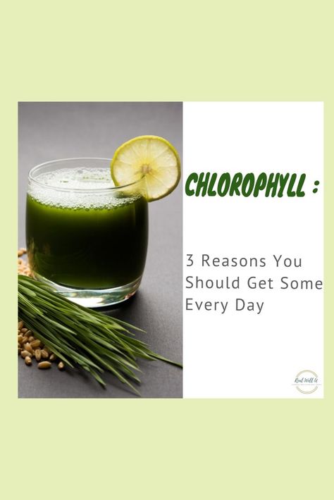 Chrolophyll Benefits, Chloryphl Benefits, Chlorophyll Benefits, Chlorophyll Water, Water Before Bed, Healthy Board, When You Sleep, Healthy Gut, Music Print