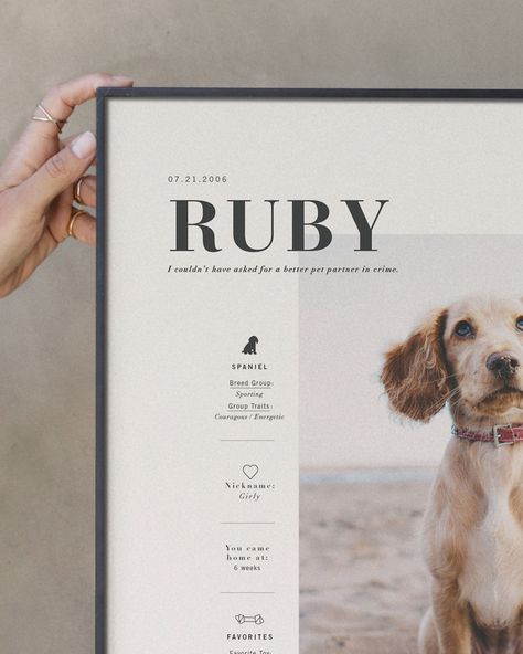 pet | signature art print | still novel#petloss #pettribute #petmemorialart #petmemorialframe Dog Memorabilia Ideas, Dog Memorial Shadow Box Ideas, Dog Remembrance Ideas, Pet Memorial Ideas Dogs, Pet Memorial Ideas, Pet Memorial Frames, Ellie Mae, Spaniel Breeds, Dog Remembrance