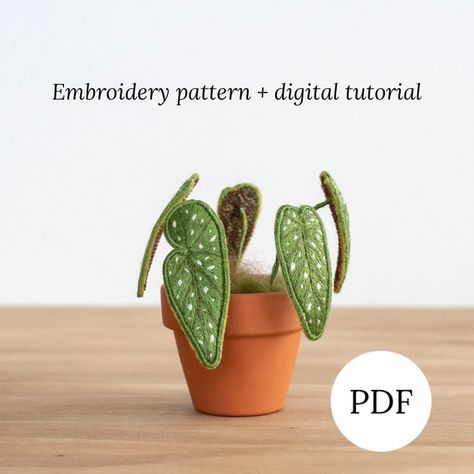 Begonia Maculata Stumpwork Embroidery Pattern Hand Embroidery | Etsy Stumpwork Embroidery, Begonia Maculata, Digital Tutorial, Seasonal Wreaths, Floral Monogram, Hand Embroidery Pattern, Plant Pattern, Diy Pattern, Macrame Patterns