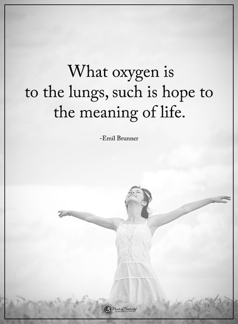 What oxygen is to the lungs, such is hope to the meaning of life. - Emil Brunner #powerofpositivity #positivewords #positivethinking #inspirationalquote #motivationalquotes #quotes #life #love #hope #faith #respect #oxygen #lungs #meaning Lungs Quotes, Future Plans Quotes, Quotes About Future Success, Bright Future Quotes, Losing Hope Quotes, Future Life Quotes, Quotes For Hope, Future Love Quotes, Quotes About Hope