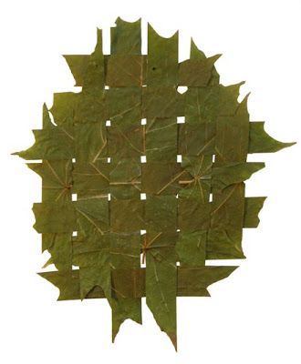 Weaving Paper, Nature Mandala, Weaving Fabric, Systems Art, Paper Weaving, Design 101, Dry Plants, Canadian Maple, Hand Embroidery Projects