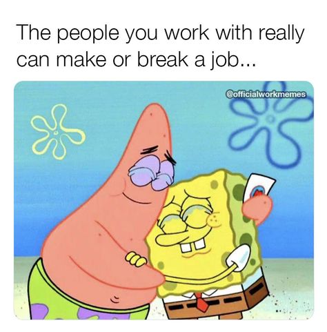 The people you work with really can make or break a job... New Job Meme, Mean Coworkers, Co Worker Memes, Coworker Memes, Funny Coworker Memes, Coworker Quotes, Job Memes, Funny Memes For Him, Love Your Job