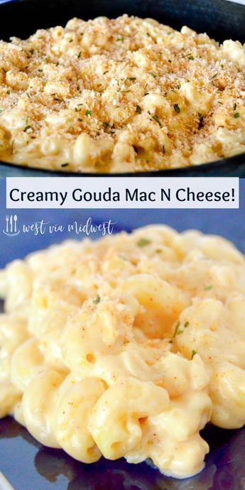 Gouda Mac And Cheese Recipe, Gourmet Mac And Cheese, Best Mac N Cheese Recipe, Macaroni Cheese Recipes, Best Mac And Cheese, Macaroni N Cheese Recipe, Mac And Cheese Recipe, Mac N Cheese Recipe, Macaroni Cheese