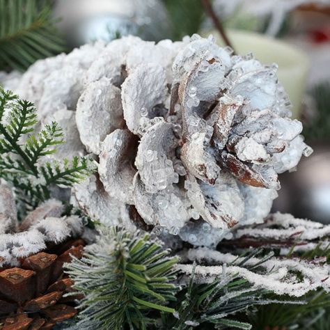 pine cone with spray snow, spray adhesive and crystals Pine Cone Christmas Decorations, Make Snow, Pinecone Crafts Christmas, Pine Cone Art, Christmas Pine Cones, Pine Cone Decorations, Cones Crafts, Pine Cone Crafts, How To Make Snow