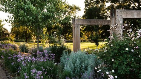 The village and expansive gardens at NSW’s Goonoo Goonoo Station have been reimagined with subtle nods to the property’s history. What started as a garden project for an 1840s homestead quickly evolved to take on the surrounding – and expansive outdoor space. Country Garden Design, Floribunda Roses, Tropical House Plants, Homestead Gardens, Hydrangea Garden, Tamworth, Types Of Succulents, Low Maintenance Garden, City Garden