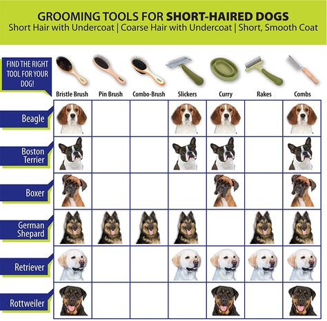 Dematting Dog Hair, Grooming Station, Trim Sizes, Dog Dry Skin, Pet Shed, Dog Organization, Short Haired Dogs, Slicker Brush, Dog Grooming Salons