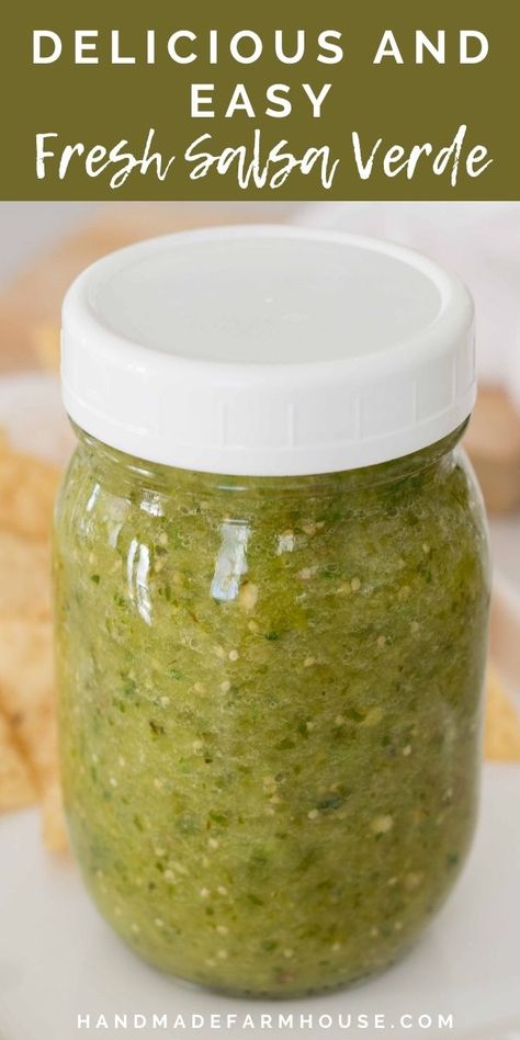 Delicious and Easy Salsa Verde Freezer Salsa Verde, Green Pepper Salsa Recipe, Zucchini Salsa Verde, Mild Green Salsa, Fresh Salsa Verde Recipe, Homemade Salsa Verde Recipes, Green Salsa Verde Recipes, How To Make Green Salsa, Green Verde Sauce