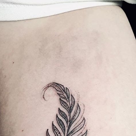 ZEALAND TATTOO on Instagram: "What a beautiful silver fern 🌿 tattoo created by our artist Inkee @bloodyinkee couple of days ago #silverferntattoo" Silver Fern Tattoo, Fern Tattoo, Stick Poke, Silver Fern, Stick And Poke, Tattoo On, Fern, Tattoos, Silver