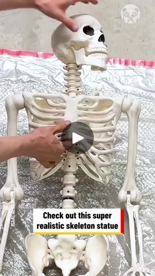 554K views · 8.1K reactions | Making a huge skeleton statue for Halloween
Partner: Isaac Alexander DIY
FB: https://www.facebook.com/IsaacAlexanderDIY/
YT: https://www.youtube.com/c/IsaacAlexanderDIY | Handy Panda Isaac Alexander, Skeleton Diy, Skeleton Statue, Halloween Displays, Seasonal Decorations, Halloween Inspiration, Seasonal Crafts, Diy Halloween, Halloween Ideas