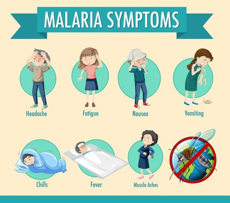 Malaria transmission cycle and symptom information infographic Malaria Symptoms, Tree Saw, Muscle Aches, Heart Tree, Cityscape Photos, Logo Banners, Nature Backgrounds, Heart With Arrow, Background Banner