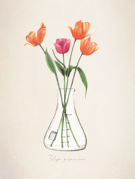 Flask Tattoo, Botanical Science, Erlenmeyer Flask, Tiny Tats, Detailed Art, Science Illustration, Tulip Flower, Detail Art, Tulips Flowers