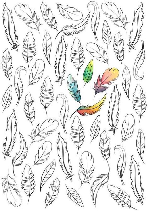 Feather Drawings, Boho Coloring Pages, Feather Drawing, Feather Tattoo Design, Adult Coloring Designs, Feather Art, Feather Tattoos, Mini Tattoos, Doodle Drawings