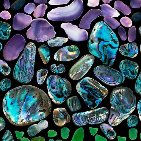 Paua shell, Shell and beach Glass Mosaic Biology Watercolor, Paua Shell Art, Beach Glass Mosaic, Abalone Pearl, Sea Inspiration, Aesthetic Visuals, Art App, Colour Themes, Dark Elves