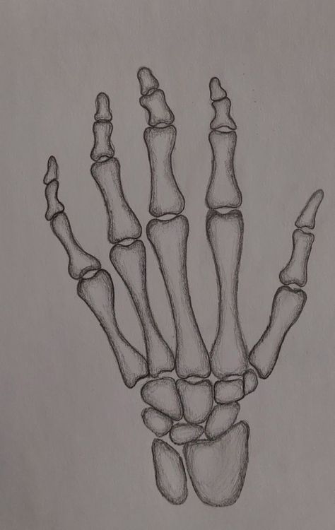 Art Skeleton Drawing, Scelotin Drawing Easy, Art Sketches Skeleton, How To Draw Bones, Skeleton Art Easy, How To Draw Skeletons, Pen And Ink Drawings Simple, Bones Drawings, Skull Hand Drawing