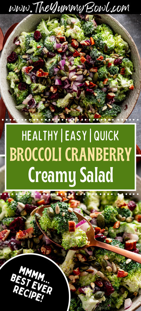 A simple and tasty salad with fresh broccoli, bacon, and a creamy dressing that everyone will love! #SaladRecipes #BroccoliLovers #CreamySalad #HealthySideDish Sweet Potato Broccoli Salad, Fall Broccoli Salad, Broccoli Cranberry Salad, Creamy Chicken Mushroom Pasta, Raw Broccoli Salad, Broccoli Salad With Cranberries, Creamy Broccoli Salad, Broccoli Bacon, Greek Yogurt Dressing