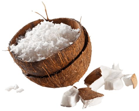 Coconut Broken Shel Best Snack Foods, Foods For Diabetics, Broccoli Nutrition, Make Almond Milk, Coconut Shavings, Snack Foods, Baby Eating, Healthy Snacks For Diabetics, Grated Coconut