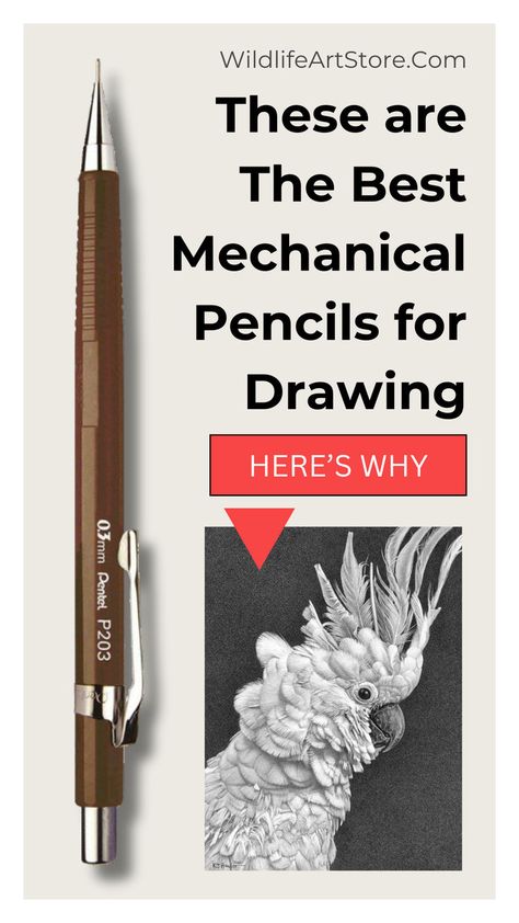 The Best Mechanical Pencils For Realistic Drawings Drawing Mechanical Pencils, Best Mechanical Pencils For Sketching, Best Drawing Pencils, Mechanical Pencil Drawing, Technical Pencil, Pentel Mechanical Pencils, Pencils For Drawing, Best Mechanical Pencil, Mechanical Drawing