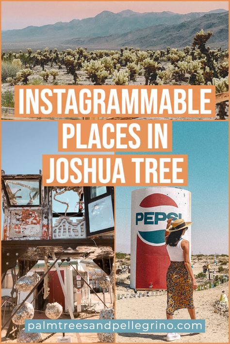 10 Most Instagrammable Places in Joshua Tree, California. Things to do in Joshua Tree. Joshua Tree National Park. Most Instagrammable Spots in Joshua Tree. Pioneertown. Glass Outhouse Gallery. #joshuatree #cabazondinosaurs #california Palm Springs And Joshua Tree, Things To Do Joshua Tree, Joshua Tree National Park Map, Men’s Desert Outfit, Things To Do In Joshua Tree California, Joshua Tree In December, Joshua Tree Style, Places To See In California, Joshua Tree National Park Outfit