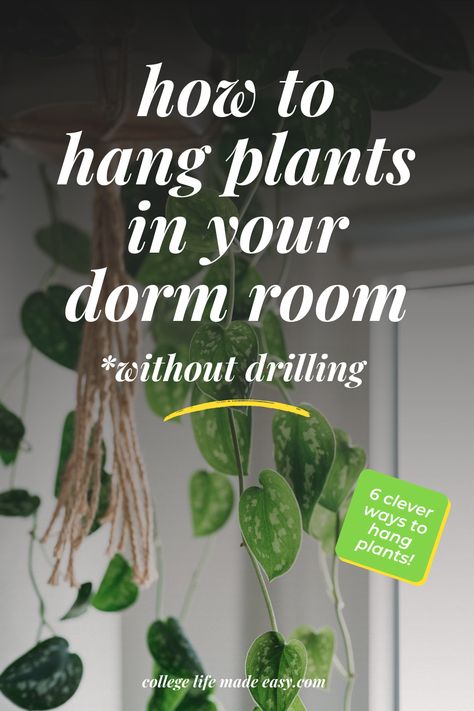 Do you want to add a bit of greenery to your dorm room, but don't know how to hang plants when you don't want to drill no holes in the ceiling? Don't worry! Because there are a few simple yet creative options for adding some new life to your space. We have 6 clever ways on how to hang plants indoors. Discover how to hang plants in a dorm room with ease! Dorm Hanging Plants, Dorm With Plants, Renter Friendly Hanging Plants, Hang Plants From Ceiling Without Holes, Plants In Dorm, Plant Dorm Room College, Plants Dorm Room, Dorm Room Plants, Plants Ideas Indoor