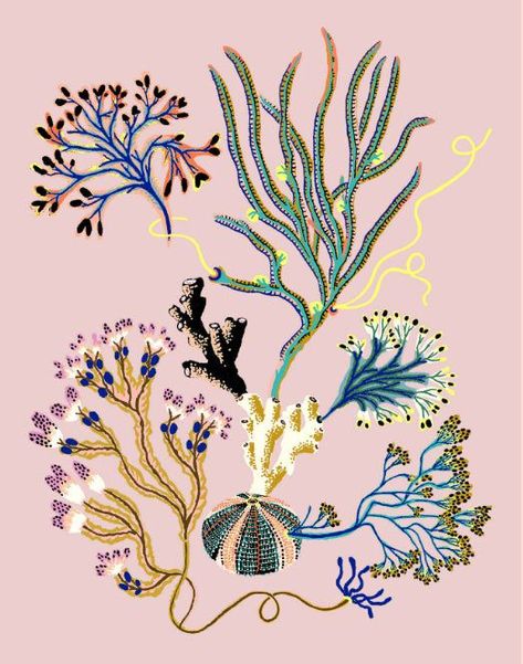 Sea Garden Vignette Giclee Print by Sarah Gordon Sarah Gordon, Sea Garden, Hand Paintings, Memorial Museum, Limited Edition Giclee, Art Installation, Art Collage Wall, British Artist, Botanical Illustration