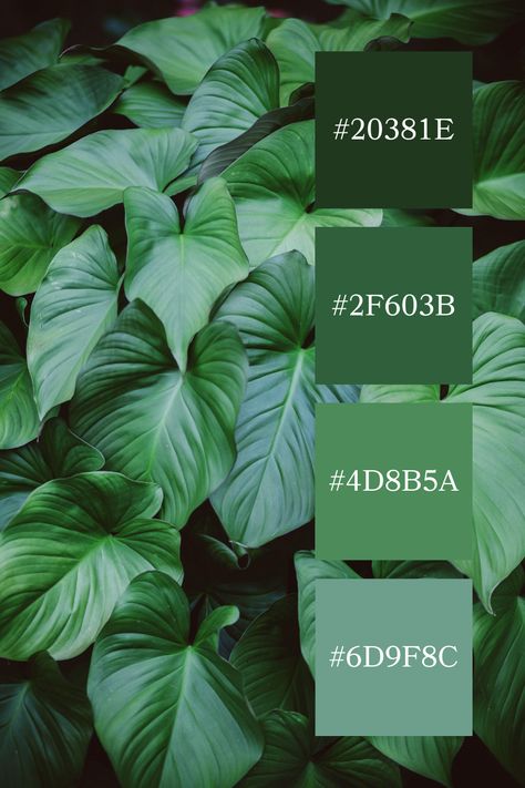 Tropical Leaves: A lush collection of overlapping jade green leaves, creating a dense, tropical vibe within the jade green color palette. Jade Color Palette, Color Scheme Generator, Jade Green Color, Green Color Schemes, Green Palette, Green Colour Palette, Color Palette Generator, Color Harmony, Aesthetic Colors