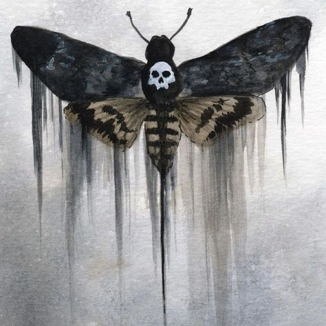 Deathshead Moth Drawing, Deathshead Moth Art, Deaths Head Hawk Moth Drawing, Deaths Head Moth Art, Deathmoth Wallpapers, Deaths Head Moth Aesthetic, Scary Moth Drawing, Deaths Head Moth Tattoo, Moths Drawing