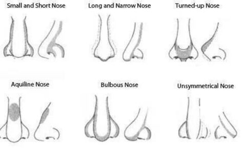 Find out how to highlight and contour for your nose shape. Corrective Makeup, Best Contouring Products, Makeup Counter, Nose Makeup, Nose Contouring, Nose Shapes, Big Nose, Stage Makeup, Face Contouring