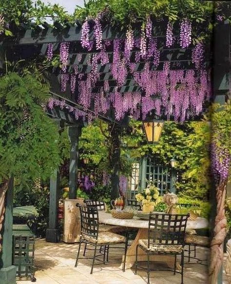 Pergola Modern, Building A Pergola, Pergola Design, Garden Vines, Backyard Pergola, Covered Pergola, Patio Landscaping, Pergola Plans, Diy Pergola