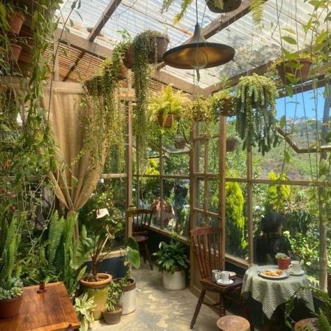 🌼You smell like earth, herbs, gardens, and a little more human than the rest of us🌼 here for a good time, not a long time Trans Safe Space Safe Space Aesthetic, Cottagecore Greenhouse, Cottage Witch Aesthetic, Cottage Witch, Cottage Farm, Cottage Aesthetic, Dream Cottage, Cottagecore Aesthetic, Dream House Rooms