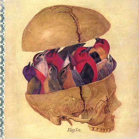 . Brain Painting, Brain Tattoo, Bird Brain, Love Collage, Brain Art, Collage Inspiration, Medical Art, Original Collage, Mixed Media Art Journaling