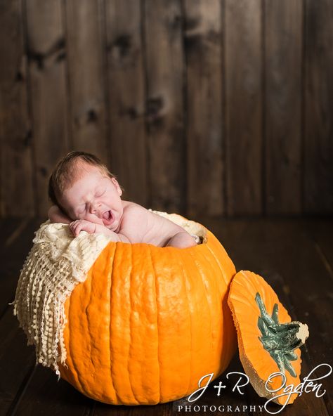 Pumpkin Photography, Fall Baby Pictures, Photo Bb, Newborn Halloween, Pumpkin Pictures, Newborn Photography Poses, Baby Sleep Problems, Foto Baby, Baby Arrival