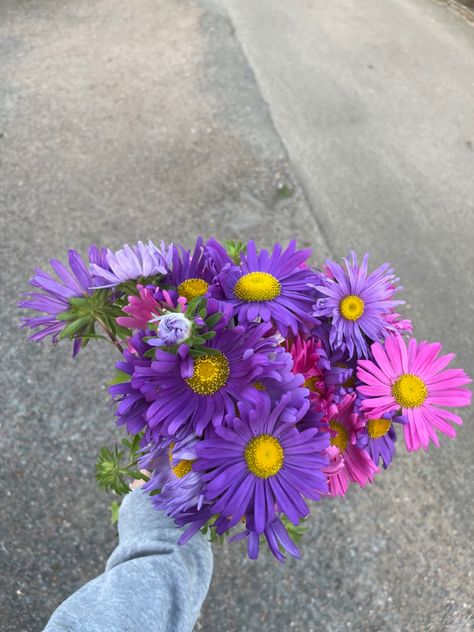 Purple and pink aster bouquet Aster Flowers Bouquet, Aster Flower Aesthetic, Aster Flower Bouquet, Aster Aesthetic, Pink Aster Flower, Asters Flower, Aster Bouquet, Purple Aster, Delicate Flower Tattoo