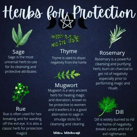 Herbs For Protection, Herbal Witch, Witchy Garden, Witchcraft Herbs, Magickal Herbs, Witch Herbs, Green Witchcraft, Witch Spirituality, Witch Garden