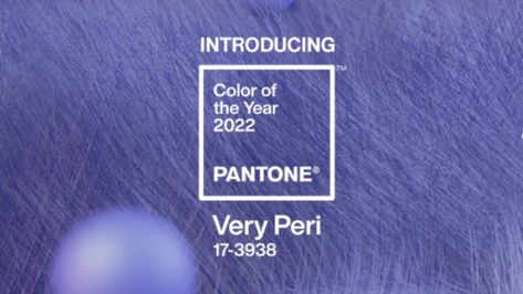 Pantone’s Color of the Year for 2022: Very Peri! | Sixty and Me Veri Peri, Periwinkle Flowers, Sixty And Me, Skin Undertones, Pantone Color Of The Year, Very Peri, Ad Hoc, Summer Skin, Rose Candle