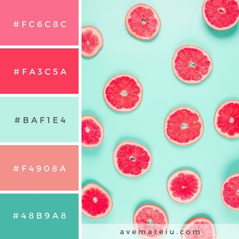 Hex Color Palette Bright, 4 Colour Combinations, Red Pastel Palette, Bright Color Palate, Purple Pink Green Color Palette, Grapefruit Color Palette, Pastel Bright Color Palette, Summer Pallete Color, Bright Color Palette With Hex Codes