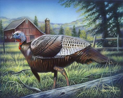 Turkey Drawing, Turkey Painting, Turkey Art, Deer Pictures, Animal Drawings Sketches, Hunting Decor, Deer Art, Wild Turkey, Turkey Hunting