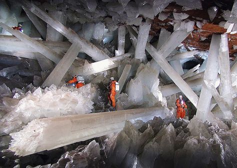 CRYSTAL CAVE | NEW MEXICO Giant Crystal, Gypsum Crystal, Dark Hedges, Crystal Cave, Amazing Places On Earth, Large Crystals, Gems And Minerals, Crystals Minerals, Out Of This World