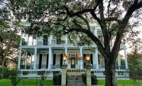 BUY THE ULTIMATE TRAVEL LIST Ahs Coven House, Garden District New Orleans, Weekend In New Orleans, New Orleans Garden District, Ahs Coven, New Orleans Hotels, American Horror Story Coven, Live Oak Trees, Garden District