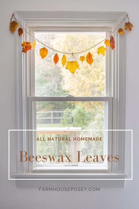 Natural Fall Decor, Halloween Decorations Apartment, Apartment Halloween, Home Design Inspiration, Decor Wallpaper, Autumn Crafts, Fall Decor Diy, Décor Diy, Fall Diy