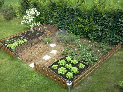 Petit jardin potager - Quelques salades, quelques fraises, du thym, de la ciboulette, de la sauge etc... Diy Garden Landscaping, Vertical Pallet Garden, Small Vegetable Gardens, Potager Garden, Pallets Garden, Pallet Garden, Little Garden, Veggie Garden, Balcony Garden