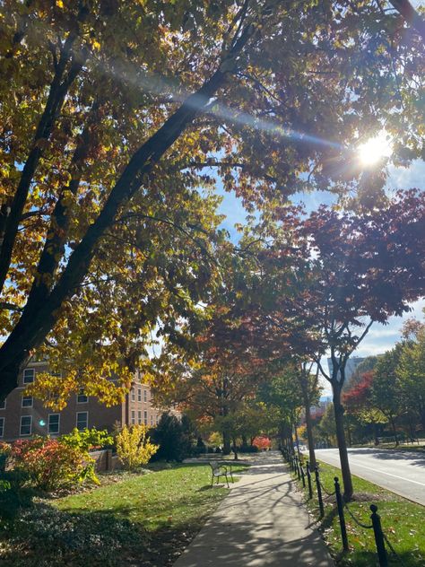 Pennsylvania Fall, College Vibes, Fall Mood Board, Fall Mood, Fall Semester, Dream College, Dream School, Fall Hiking, State College