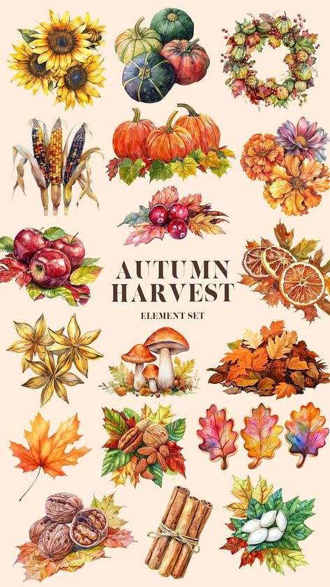 Autumn Template, Autumn Elements, Autumn Berries, Autumn Design, Set Ideas, Awesome Designs, Aesthetic Things, Autumn Harvest, Watercolor Sunflower