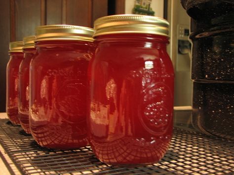 How to Make Crab Apple Jelly - Mama’s Homestead Crab Apple Jelly Recipe, Apple Jelly Recipe, Crab Apple Recipes, Crab Apple Jelly, Apple Jelly, Canning Jam, Jelly Recipe, Jam And Jelly, Jelly Recipes