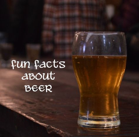 Fun facts about beer you may not know. National Beer Day, Beer Day, National Days, Foodie Friends, Online Friends, Pretty Drinks, Beer Recipes, April 7, Delicious Cocktails