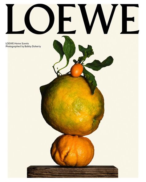 bobby doherty | @loewe_perfumes set design @lauradoardo thanks @findingpink @raquel_adalid | Instagram Ugly Food, Vogue Photography, Creative Diary, Fragrance Photography, Photoshop Design Ideas, Perfume Ad, Typography Branding, Perfume Set, Plant Photography