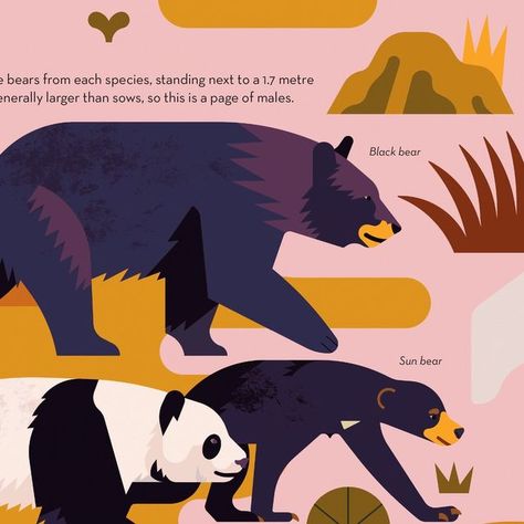 Owen Davey on Instagram: "Brainy About Bears is my most recent book with @flyingeyebooks - I've been super busy lately and haven't been posting much, so here are a few more spreads from the book  #bears #bear #illustration #biology #artwork #art #digitalart #vectorart #digitalillustration #vectorillustration #panda #blackbear #brownbear #grizzly #grizzlybear #kidlit #childrenillustration #informationbooks #nonfiction #science #polarbear" Owen Davey, Bear Illustration, Super Busy, Grizzly Bear, Black Bear, Brown Bear, Children Illustration, Polar Bear, Spreads