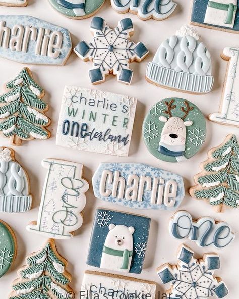 Winter Onederland Birthday Party Boy, Winter Baby Birthday, Winter Onderland Birthday, First Birthday Theme Boy, First Birthday Winter, First Birthday Cookies, Winter Onederland Birthday Party, Winter Onederland Party, Onederland Birthday Party