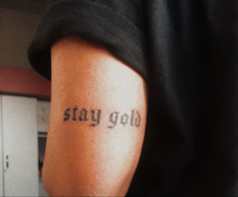 Stay Gold Tattoo, Gold Tattoo, Writing Tattoos, Stay Gold, Tattoos Ideas, Piercing Tattoo, Love Tattoos, Mini Tattoos, Body Mods