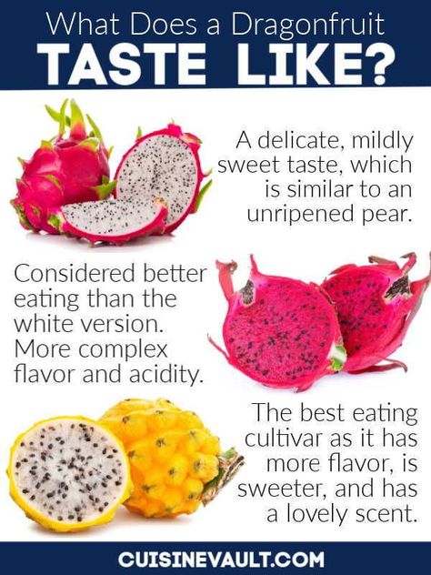 If you've ever heard people describing the taste of dragonfruit you may have heard very different descriptions. Some love them and discuss their lovely sweetness, others think they're bland.   Flavor will vary depending on the level of ripeness; but another reason they differ is because of the variety. We decided to provide a quick rundown on how flavor is impacted by the three most common varieties.   Spoiler alert: get your hands on the yellow ones if you can! Dragon Fruit Health Benefits, Como Plantar Pitaya, Dragon Fruit Tree, Dragon Fruit Benefits, Yellow Dragon Fruit, Dragon Fruit Plant, Fruit Nutrition, Fruit Health, Vegetable Crisps